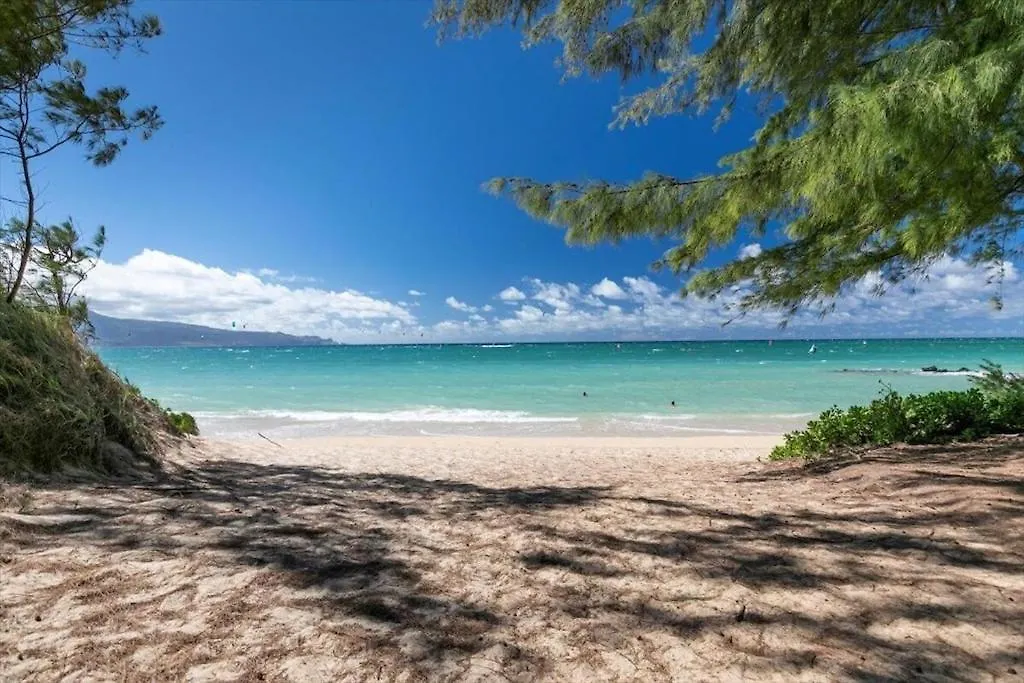 Unit 15 Maui Ohana Modern Studio Wailuku